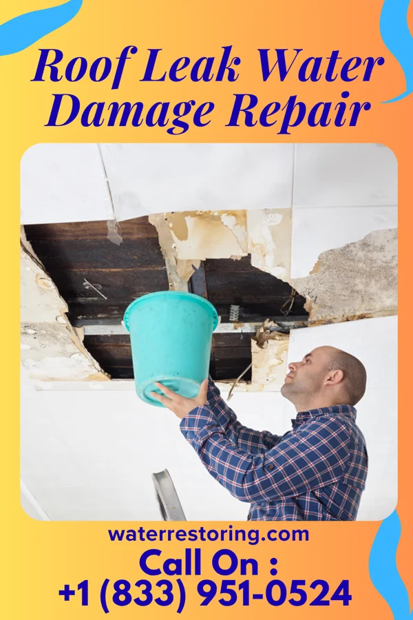 Roof Leak Water Damage Repair in Bridge City, LA